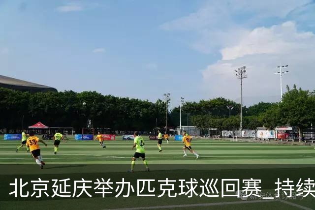 北京延庆举办匹克球巡回赛 持续擦亮户外运动城市名片