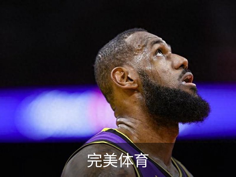 完美体育介绍